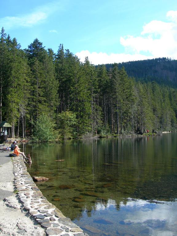Apartmány Olympia Železná Ruda Esterno foto