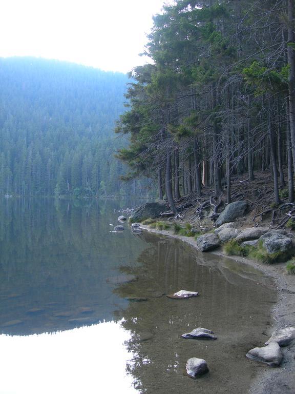 Apartmány Olympia Železná Ruda Esterno foto